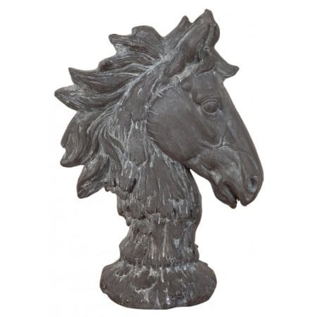 Testa cavallo 29x41