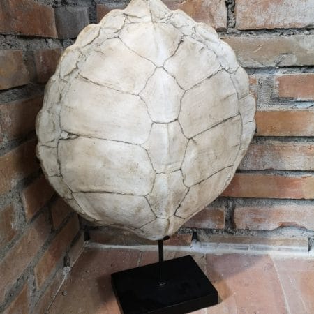 Soprammobile guscio tartaruga in resina con base in ferro di design