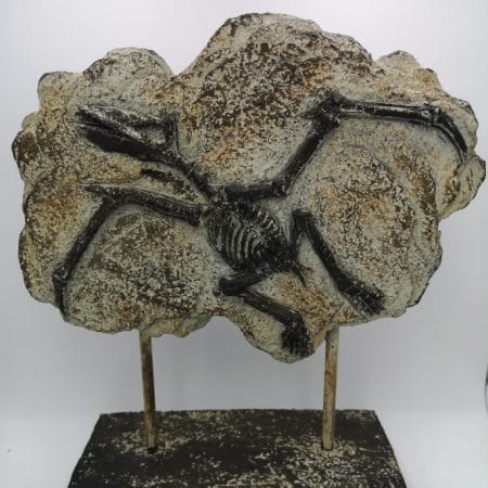 Elemento decorativo raffigurante scheletro fossile (design vintage)