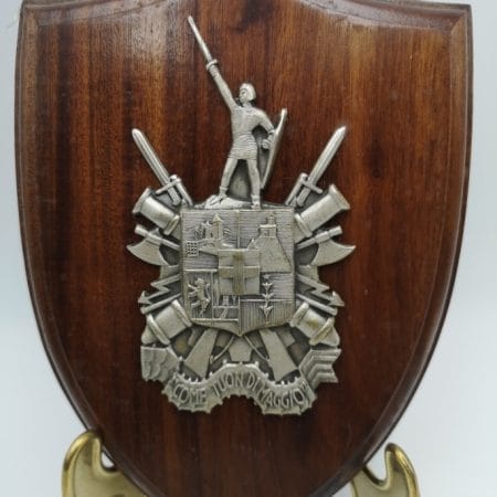 Crest Militare da Collezione