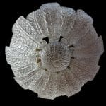 Lampadario soffitto Rex Barovier e Toso grande in cristallo di Murano