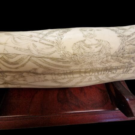 ZANNA DI TRICHECO SCRIMSHAW DECORATIVA REPLICA 28CM
