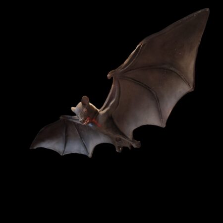 Pipistrello gigante in resina, apertura alare 1 m