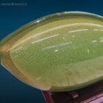 Scultura in vetro di Murano verde con scaglie d'oro raffigurante un elegante pesce su supporto in legno.