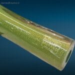 Scultura in vetro di Murano verde con scaglie d'oro raffigurante un elegante pesce su supporto in legno.