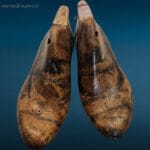 41154.jpg coppia di vecchie forme di scarpe in legno tg 38