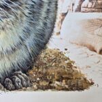 41456_3.jpg Disegno originale incorniciato firmato da Piero Cozzaglio, anno 1987