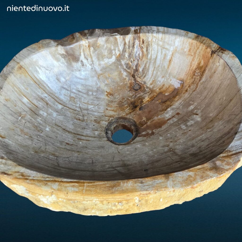 04461.jpg Lavandino da appoggio in legno fossile pietrificato naturale