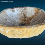 04461_1.jpg Lavandino da appoggio in legno fossile pietrificato naturale