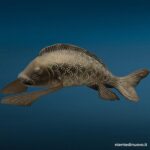 04767_6.jpg Scultura pesce koi in ottone 32 cm con patina - immagine aggiuntiva 7